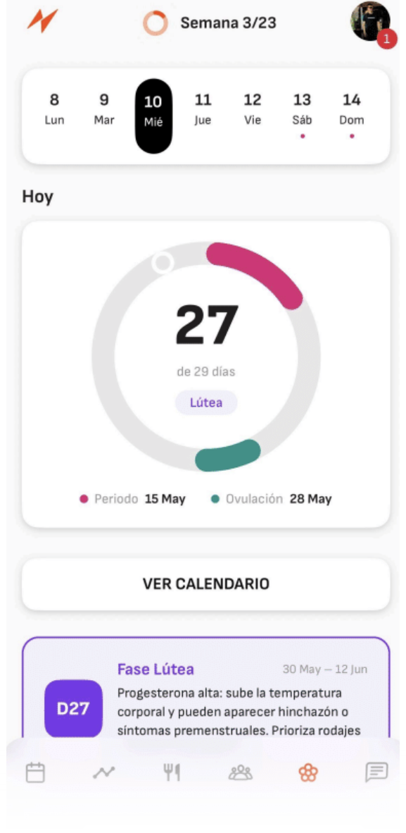 Ciclo menstrual